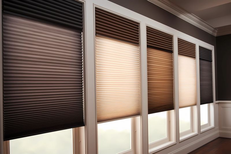 Pleated Shades Installation in Denver County, CO