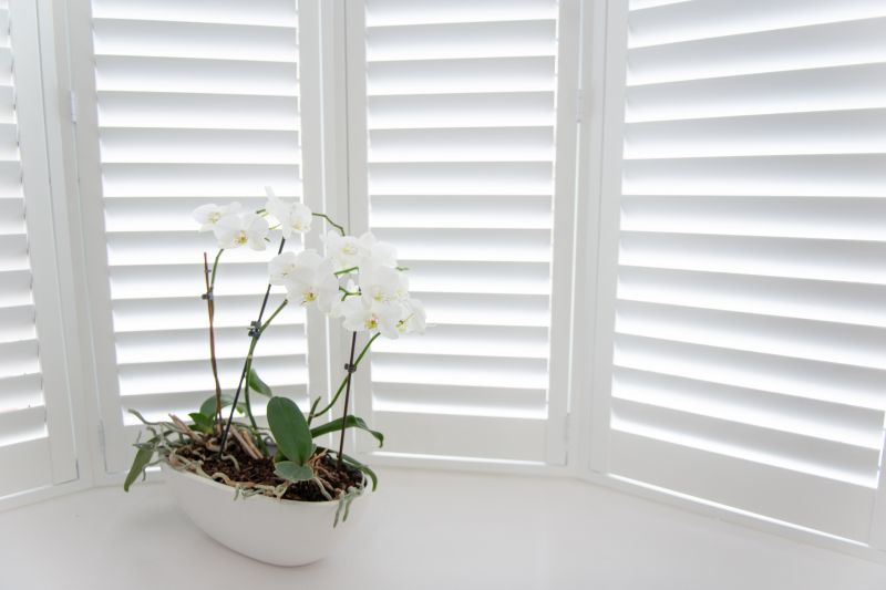 Shutters Replacement in Denver, CO